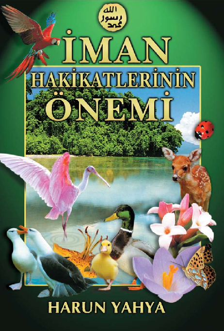 İman Hakikatlerinin Önemi